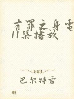 有罪之身电视剧11集播放