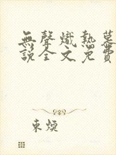 无声炽热慕义小说全文免费阅读封面