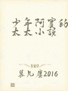 少年阿宾的房东太太小说