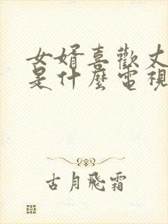 女婿喜欢丈母娘是什么电视剧封面