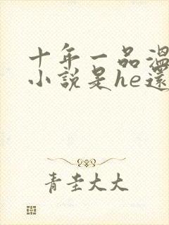 十年一品温如言小说是he还是be封面