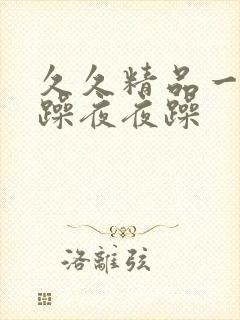 久久精品一日日躁夜夜躁