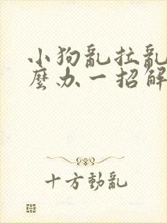 小狗乱拉乱尿怎么办一招解决