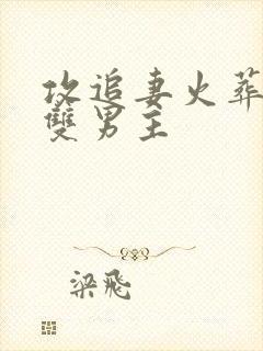 攻追妻火葬场的双男主