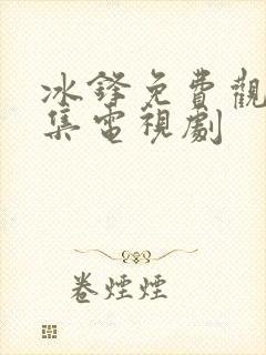 冰锋免费观看全集电视剧