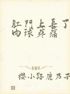 肛门上长了一个肉球疼痛