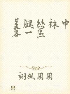 美腿丝袜中文字幕一区