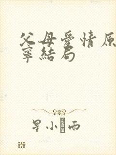父母爱情原著亚宁结局封面