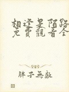 相逢是陌路短剧免费观看全集