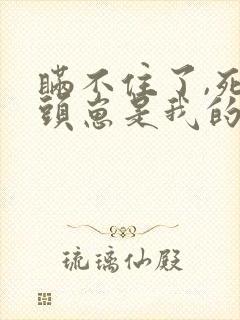 瞒不住了,死对头崽是我的小说免费阅读下载