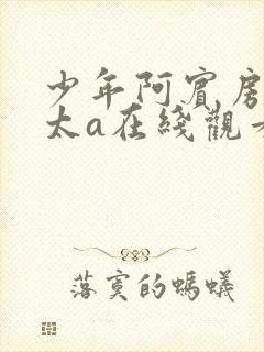 少年阿宾房东太太a在线观看