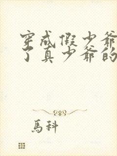 穿成假少爷后成了真少爷的金丝雀小说