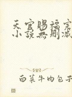 天官赐福完整版小说无删减