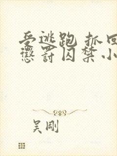 受逃跑 抓回 惩罚囚禁小说