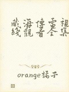 藏海传电视剧在线观看全集高清