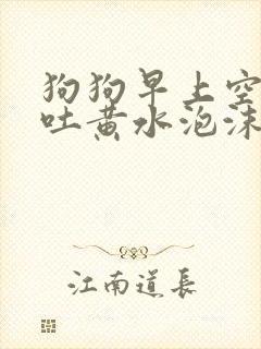 狗狗早上空腹呕吐黄水泡沫粘液