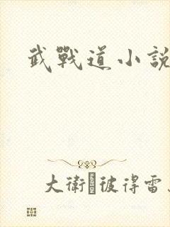 武战道小说