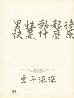 男性勃起后软的快是什么原因