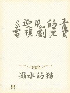 《迎风的青春》电视剧免费观看