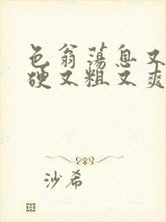 色翁荡息又大又硬又粗又爽