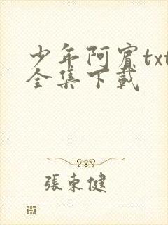 少年阿宾txt全集下载