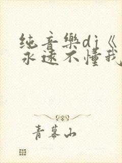 纯音乐dj《你永远不懂我》