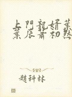 上门龙婿叶辰 叶辰萧初然最新