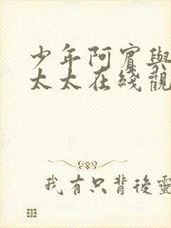 少年阿宾与房东太太在线观看