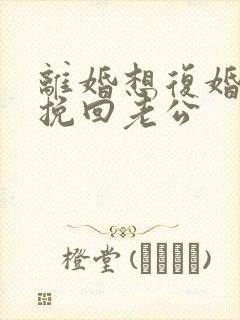 离婚想复婚怎么挽回老公封面