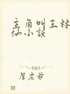 主角叫王林的修仙小说