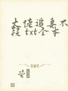 大佬追妻不择手段 txt全本封面