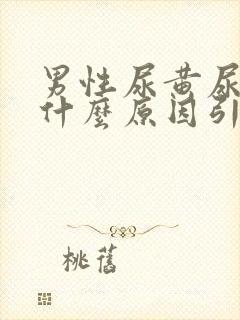 男性尿黄尿疼是什么原因引起的