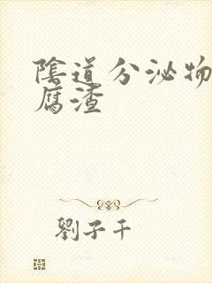 阴道分泌物向豆腐渣