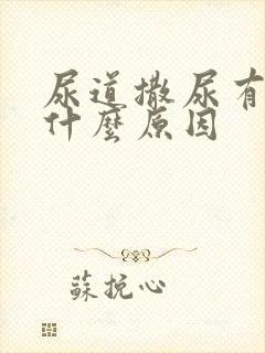 尿道撒尿有点痛什么原因