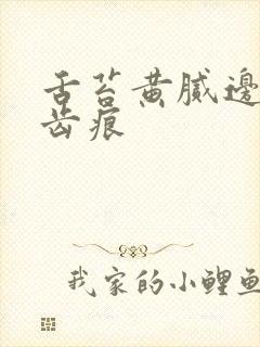 舌苔黄腻边上有齿痕