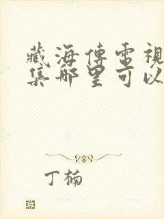 藏海传电视剧全集哪里可以看