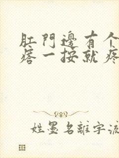 肛门边有个硬疙瘩一按就疼怎么治