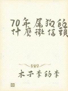 70年属狗的用什么微信头像好