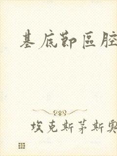 基底节区腔梗封面