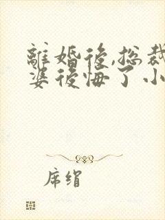 离婚后,总裁老婆后悔了小说完整