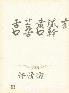 舌苔黄腻有齿痕口苦口干