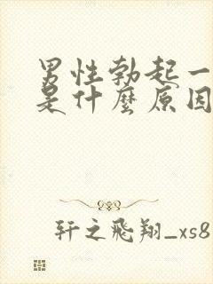 男性勃起一会软是什么原因封面