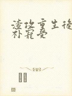 渣攻重生后悔弥补宠受