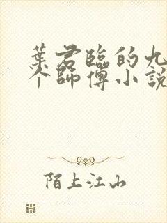 叶君临的九十九个师傅小说