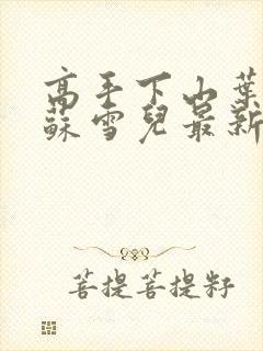 高手下山叶君临苏雪儿最新章节