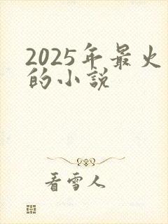 2025年最火的小说