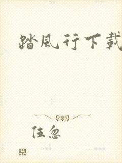 踏风行下载安装