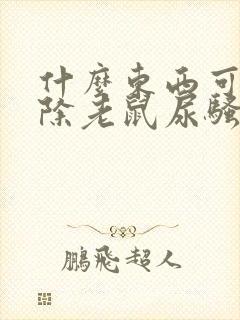 什么东西可以去除老鼠尿骚味