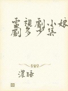 电视剧小娘惹全剧多少集