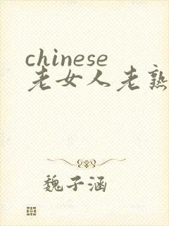 chinese老女人老熟妇69